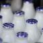 Dairy farmers are campaigning against payment cuts by major milk processors