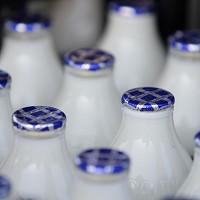 Dairy farmers are campaigning against payment cuts by major milk processors