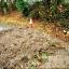 Fly-tippers strike three times a day in county