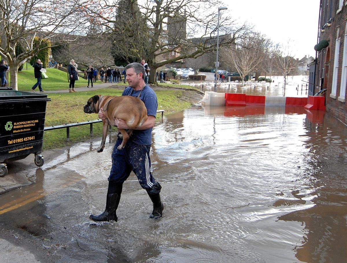 A man carries his dog through flood water at Quay St, Worcester. NT210114_86018