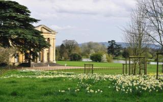 Spetchley Park near Worcester is one of several gardens opening its gates for free this spring