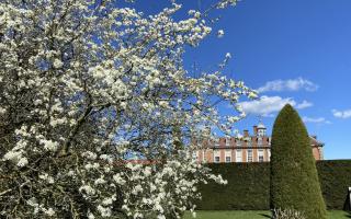 Where in Worcestershire are the best places to see the blossom on the trees in the spring time?