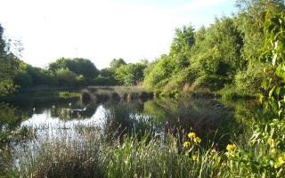 Offerton Lane Nature Reserve is in the St Nicholas ward