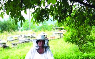 FRIENDLY: Former Malvern pupil Elizabeth Gowing keeps bees in Kosovo.