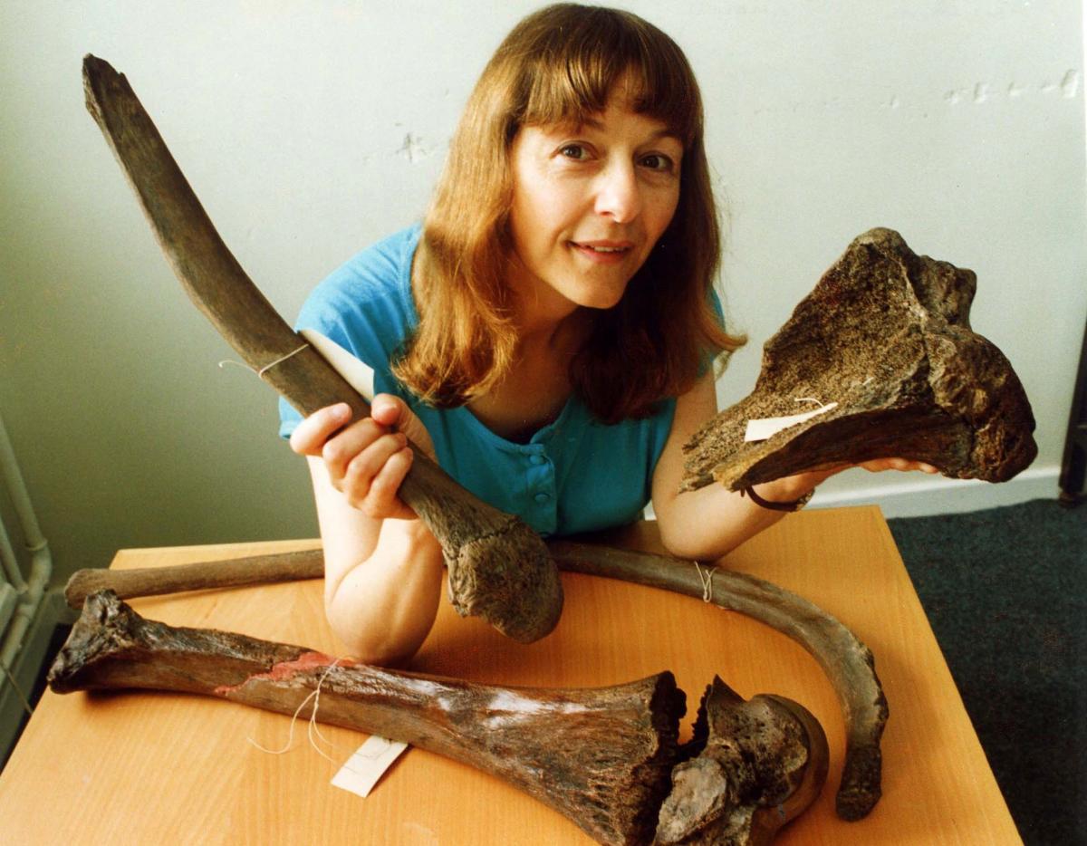 THE record books had to be re-written in 1992 after Worcestershire’s most famous archaeological find turned out to be older than at first thought. Millicent the mammoth was originally believed to have been about 40,000 years old, when water workers unco