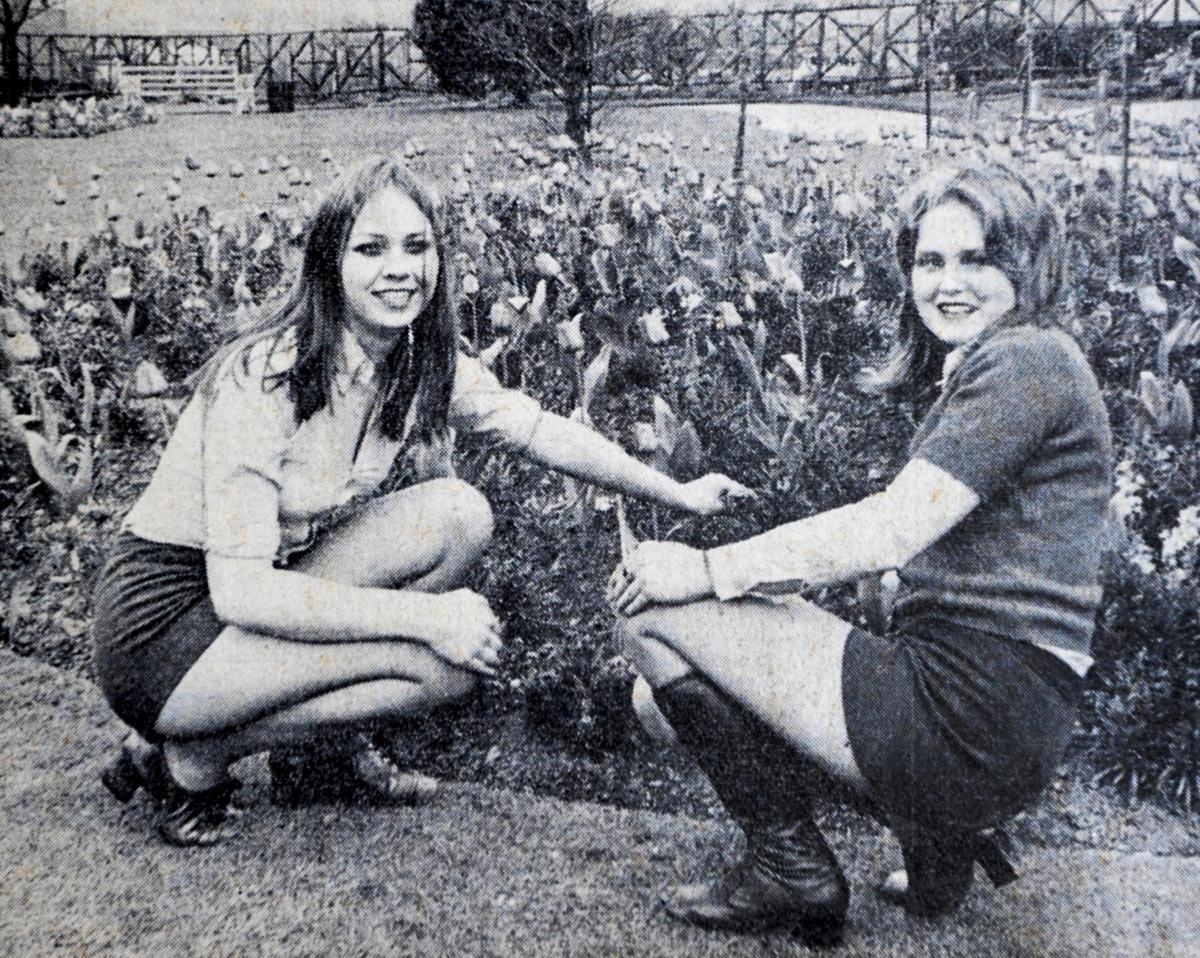 IT’S the middle of April, 1971 and a Worcester Evening News photographer is sent out to take some pictures of a lovely display of tulips in St Andrew’s Park. As often happened in the 70s, he just happened to encounter a couple of pretty girls along th