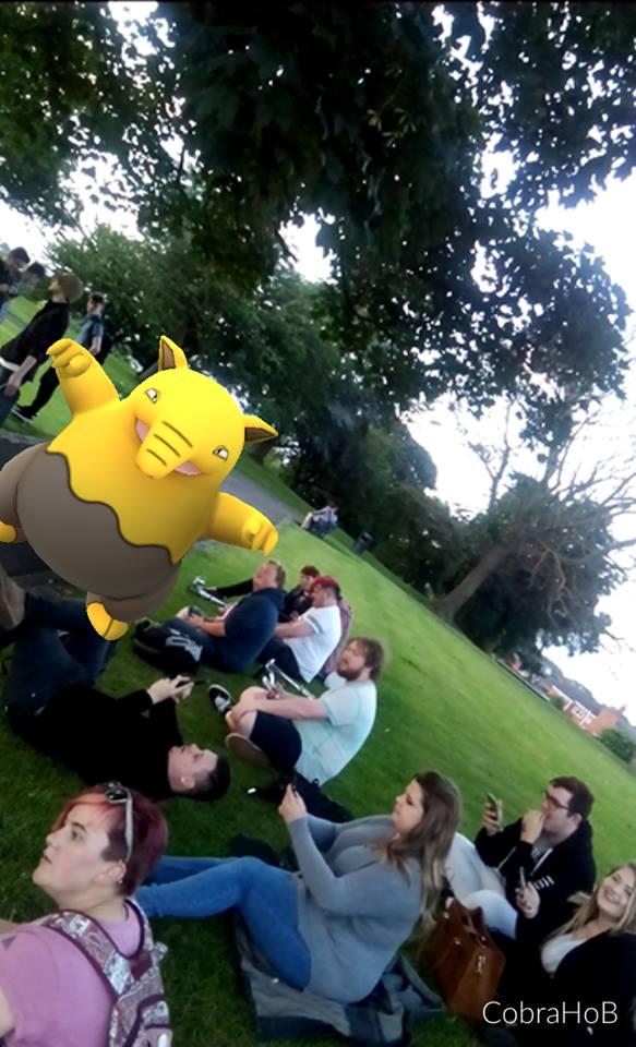 A Drowzee among Pokemon GO players on Fort Royal Park