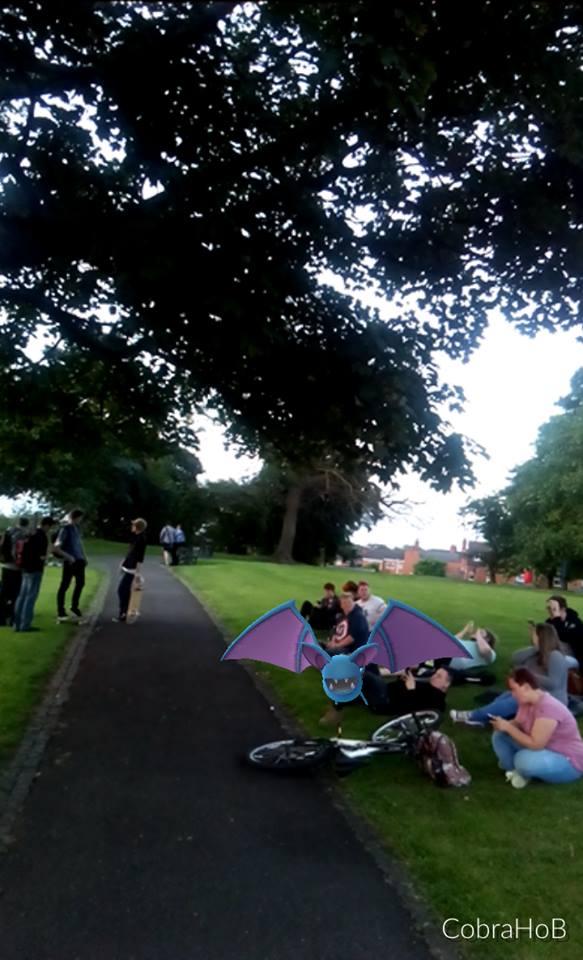 Golbat flying among groups of Pokemon GO players in Fort Royal Park, Worcester