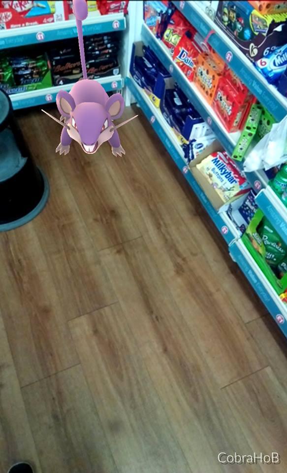 Rattata in Worcester's Poundland