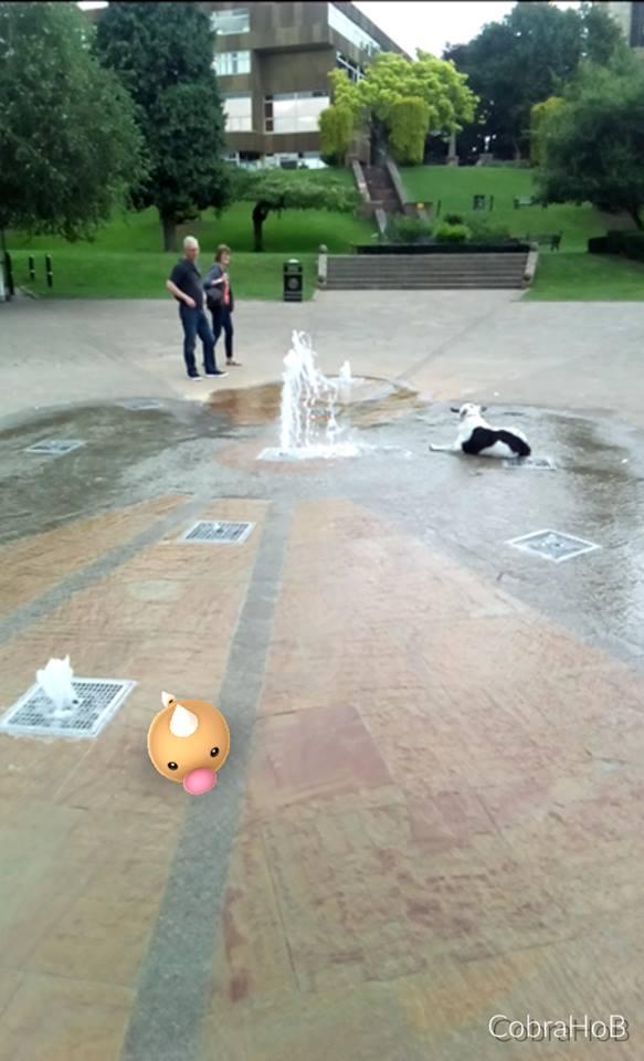 A Pokemon takes a dip in the fountains at South Quay, Worcester