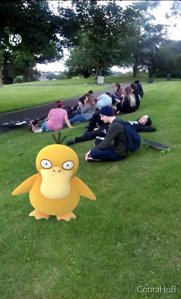 Psyduck spotted in Fort Royal Park