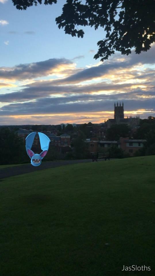 Sunset on Fort Royal Park enjoyed by Golbat. Picture by Jasmin Hughes
