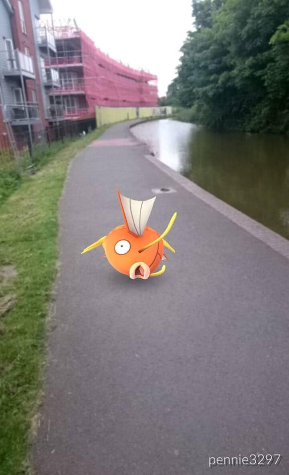 Like a fish out of water, MagiKarp was found on the path in Diglis by Pennie Malone