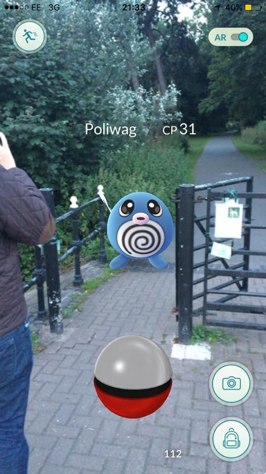 Poliwhirl takes a walk. Picture by Becki Murphy