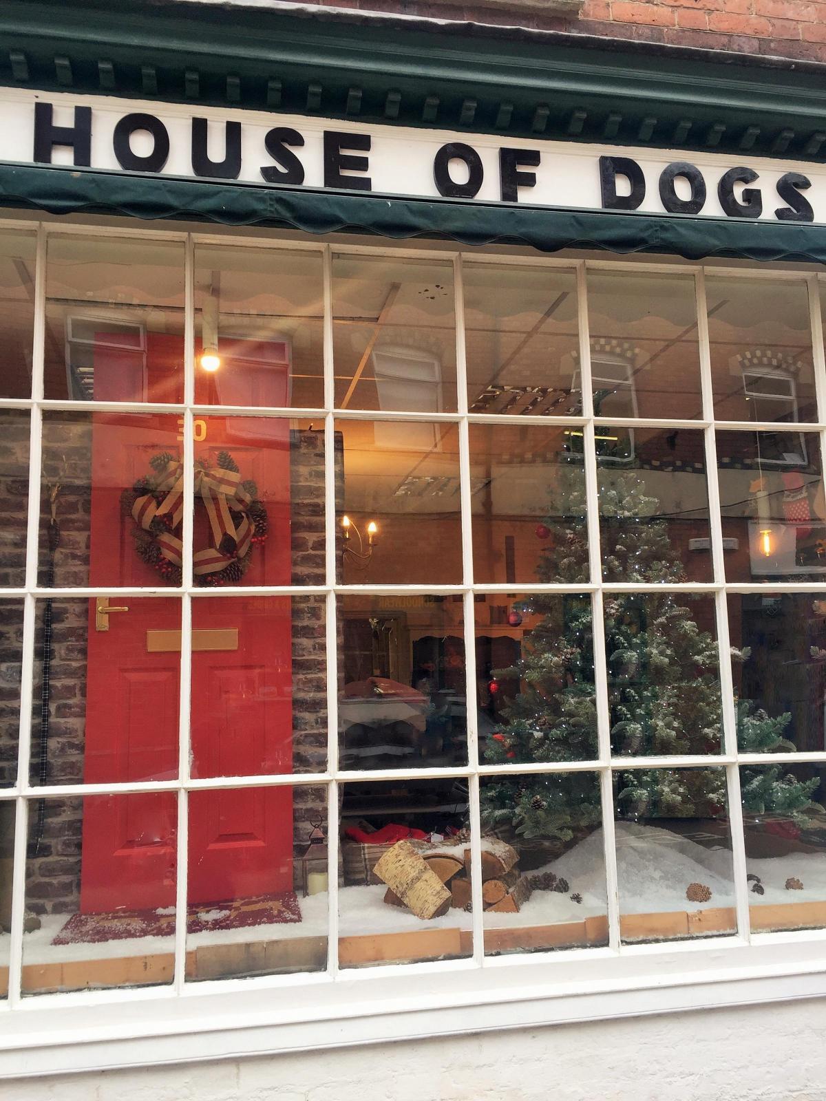 House of Dogs, New Street