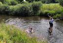 Wild swimming is a popular hobby