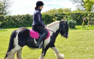 'I thought I was paralysed':  Biker left horse rider for dead after scaring animal