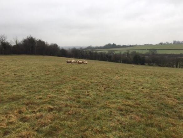 Villagers raise concerns over plan to build 'dominating and unnecessary' farm building