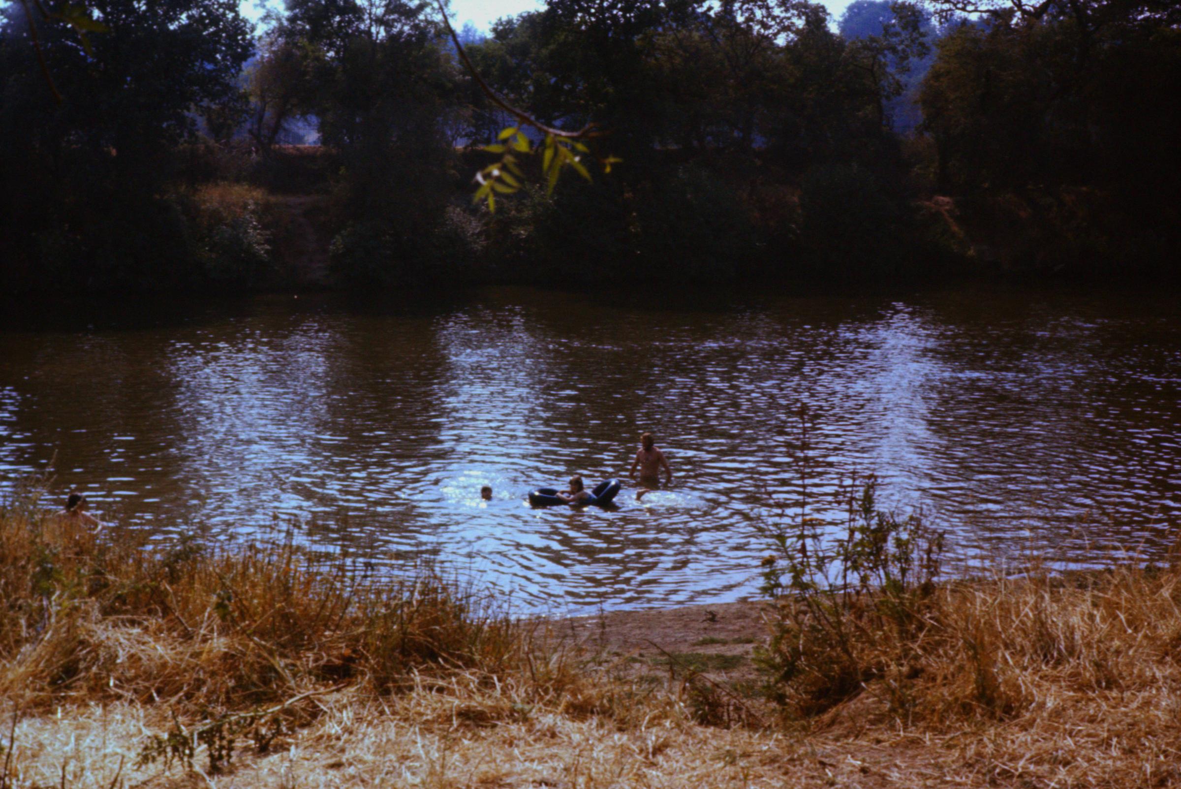 Swimming at The Slip in the 1970s
