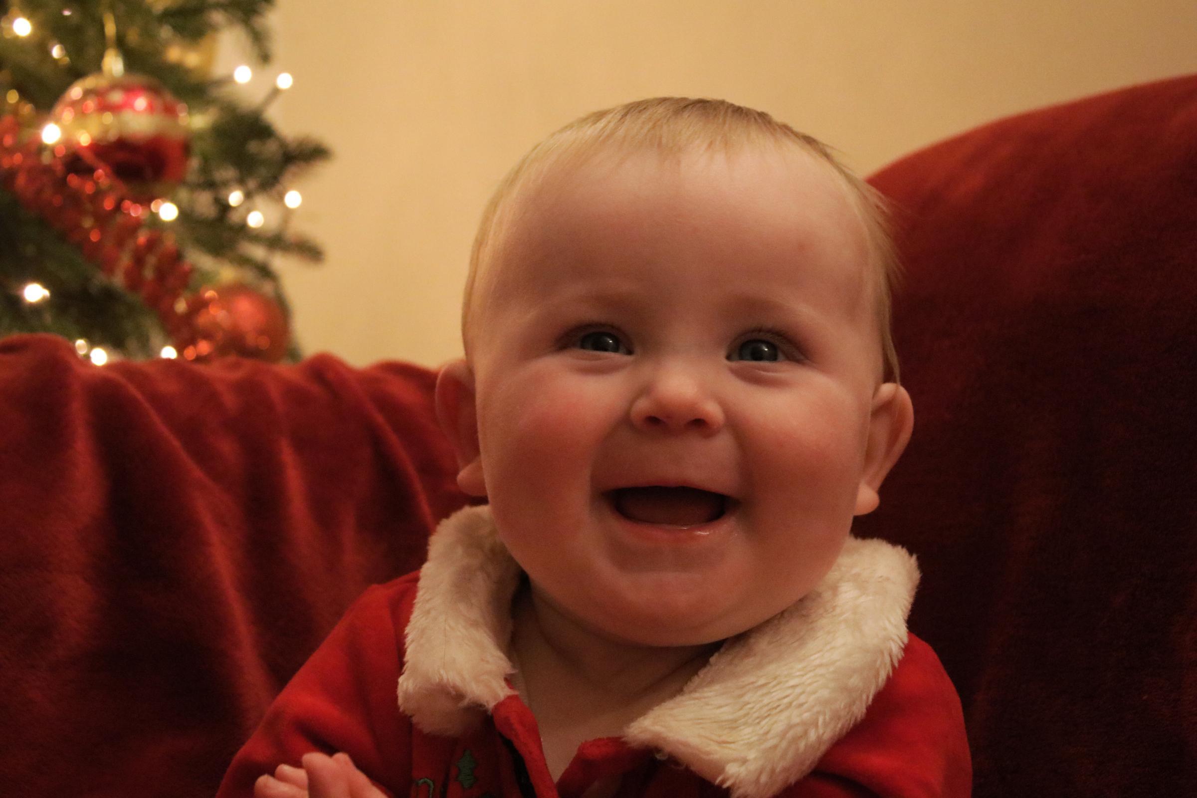 A happy Holly at Christmas