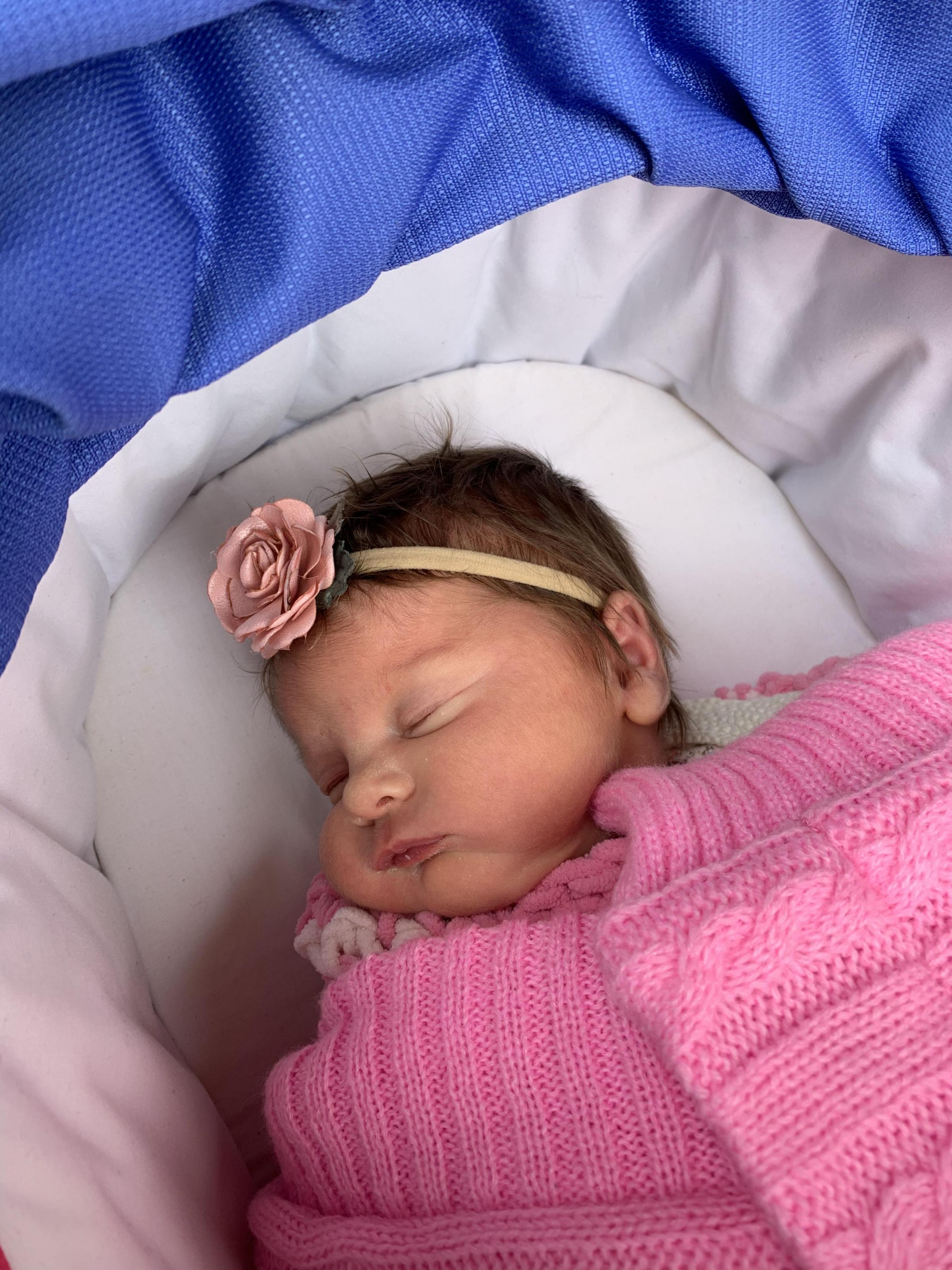 Mila, the new little rose blossoming in the Chapman family