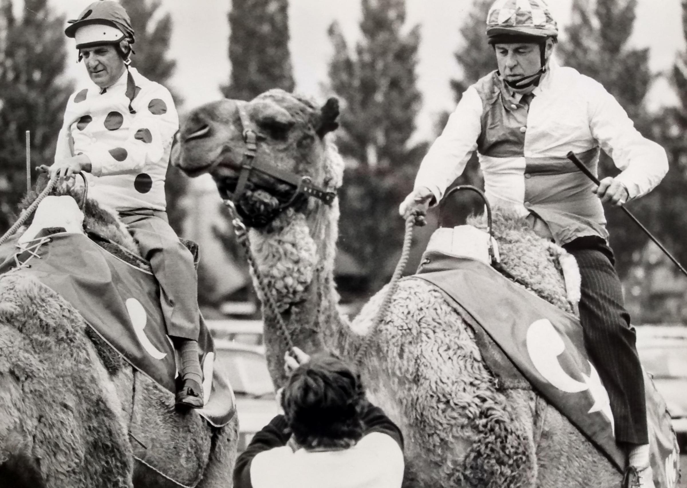 Whose idea was this again? Jack Bennett, left, and course clerk Hugo Bevan aboard two ships of the desert in May 1988