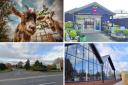 MUST VISIT: Garden centres to go to around Worcester