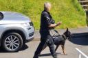 Live updates as officers with police dogs in quiet city close