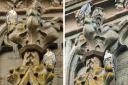 PEREGRINES: Two peregrine falcons have been pictured at Worcester Cathedral.