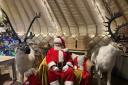 POPULAR: Father Christmas at St Peter's Garden Centre in Worcester