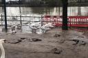River Severn footpath has been damaged after flooding.