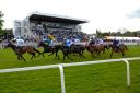 NOMINATED: Worcester Racecourse has been nominated for an award