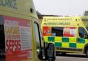 APPEAL: WMAS