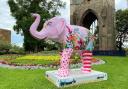 Worcester's elephants to leave the city - but you can still meet them all in one place