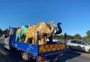 FAREWELL: The elephants on their way to their final public appearance