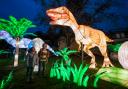 West Midland Safari Park's Lantern Festival begins tonight - How to get tickets (West Midland Safari Park)