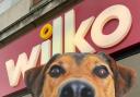 Wilko customers threaten boycott over controversial pet rule affecting UK stores. (PA/Canva)