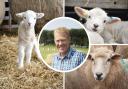 BBC Countryfile Presenter, Adam Henson is hosting a big event at the Cotswold Farm Park.