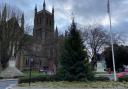 Christmas trees will be installed in Worcester later this week