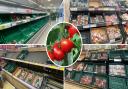 TOMATOES: Which supermarket shelves are looking bare?