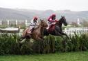 Cheltenham Festival continues today and will end on Friday, March 17