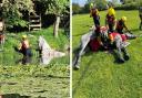 RESCUE: A horse was safely rescued after becoming stuck in water.