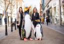 Sam McCarthy, Worcester News, and Sara Matthews, St Richard's Hospice are encouraging schools and groups to sponsor a penguin