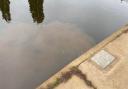 DENIED: Severn Trent have denied discoloration in the River Severn is sewage.