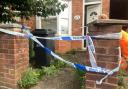 CANNABIS: Up to 60 cannabis plants were found in a home on Wyld's Lane.