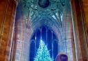 Lights of Love will be lit on a tree at St Andrew’s Spire in memory and celebration of loved ones