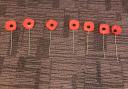 The poppies have been made from recycled plastic bottles