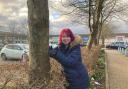 CONCERN: Cllr Jill Desayrah hugs a tree after an earlier victory but now the Starbucks drive thru application has reared its head again with amended plans resubmitted