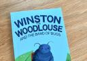 Winston the woodlouse and the band of bugs book.