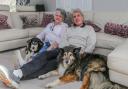 NEW HOME: Sue and Paul Lewis with Sheba and Teddy - Dogs Trust Evesham's oldest pair